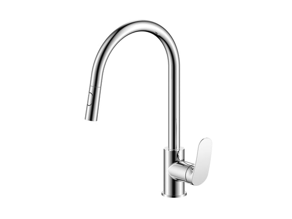 Nexaliving 51308-1 keukenkraan met uittrekbare handdouche, chroom
