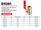 Maten en verpakkingsinformatie VC-B1081